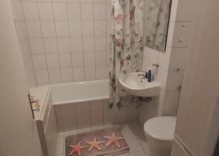 Monteurwohnung Fuer Handwerker In Halle Appartement *